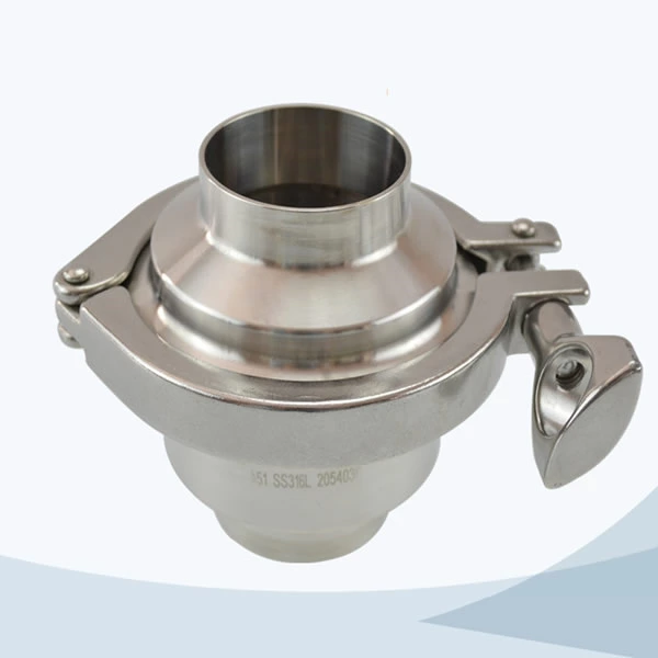 welded check valve