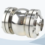 stainless steel check valve