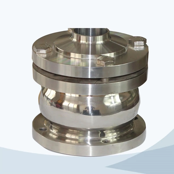 sanitary check valve