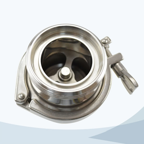 middle -clamp check valve