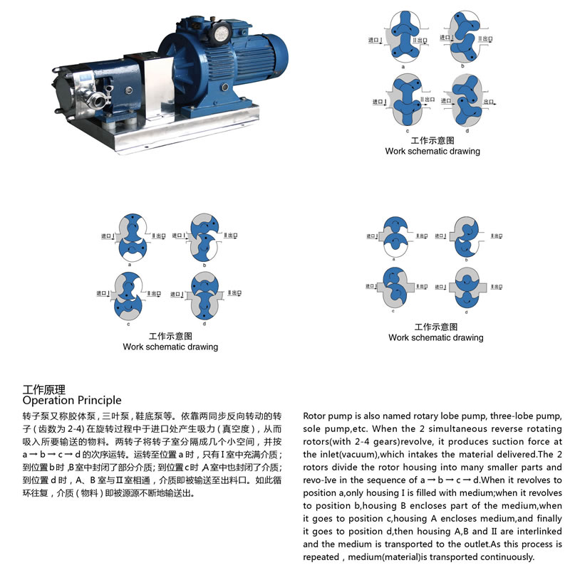 Sanitary rotary lobe pump