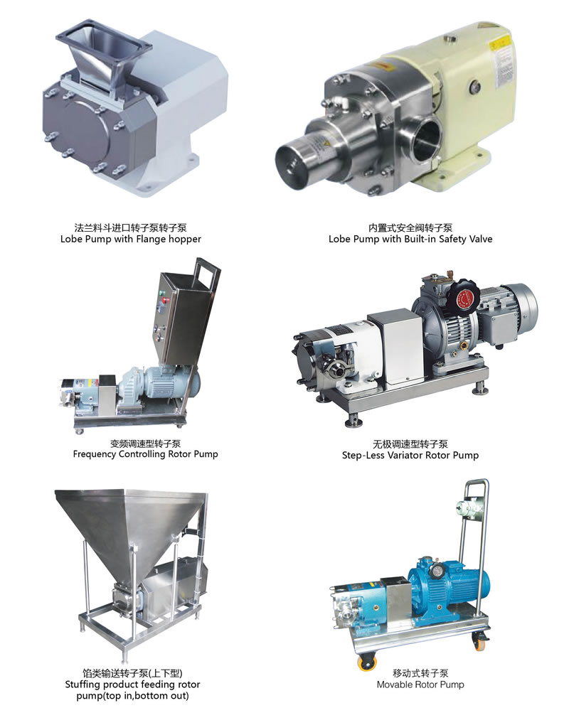 Sanitary rotary lobe pump