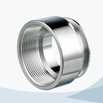 hygienic grade NPT adaptor,