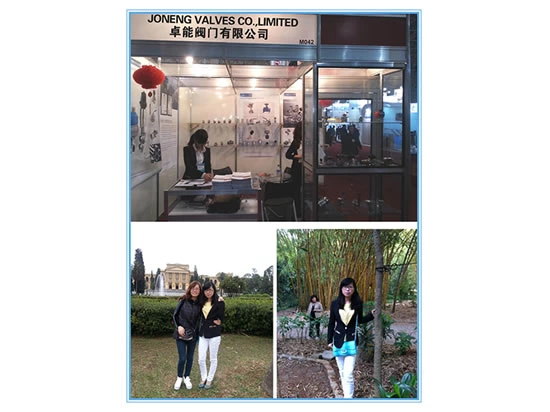 JONENG ATTENDED FISPAL BRAZIL IN 2013